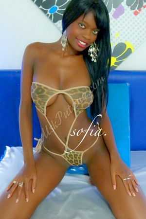 sofia, метро Севастопольская