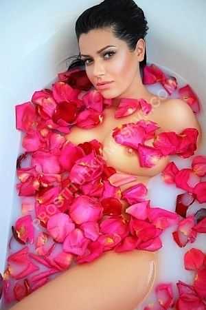 мила, метро Добрынинская