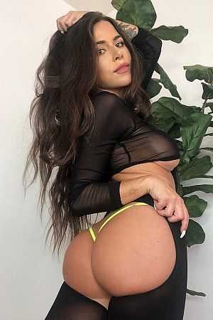 Алиса, метро Пионерская