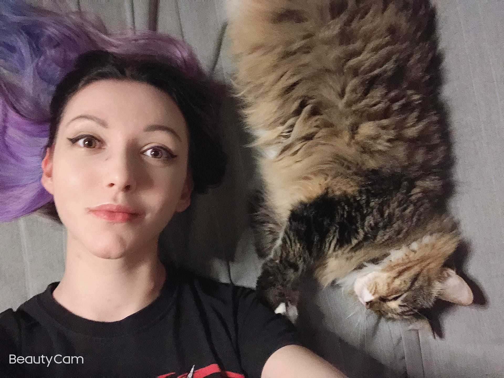 Проститутки