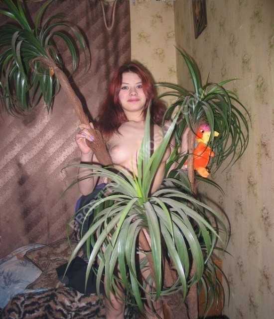 Проститутки