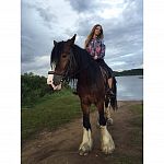 Проститутки